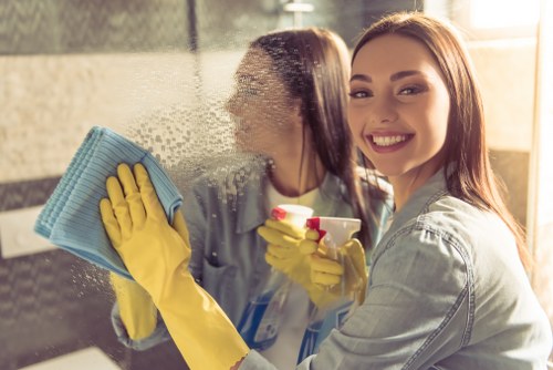 DIY carpet cleaning supplies for home maintenance