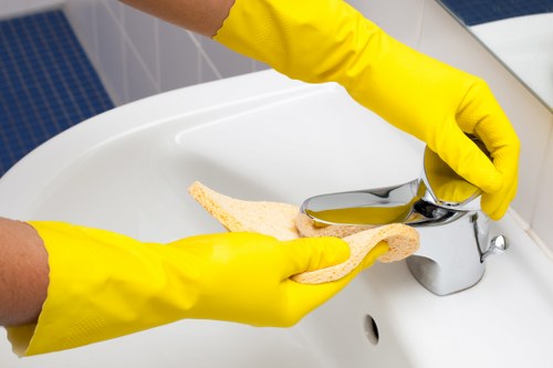 Deep domestic cleaning tools and home maintenance supplies