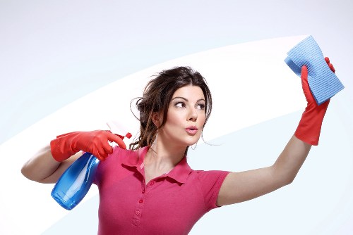 Interior and exterior window cleaning for a home